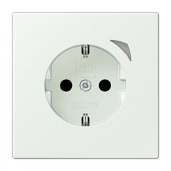 Kontaktligzda JUNG HOME SCHUKO, 16 A 250 V ~, skrūvju spailes, ar indikātoru un bērnu drošību, termoplasts krāsots