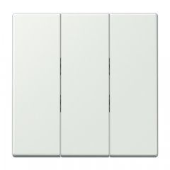 Taustiņs 3-viet, termoplasts lakots, Serie LS, outremer gris