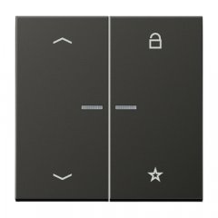 eNet taustiņš unversālais 2-viet, ar bultiņu simboliem<br />
, krāsots alumīnijs, Serie LS, antracīts (lackiertes Aluminium)