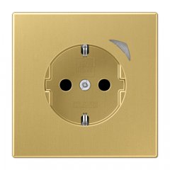 Kontaktligzda SCHUKO, 16 A 250 V ~, skrūvju spailes, ar indikātoru un bērnu drošību, termoplasts krāsots, Serie LS, misiņš