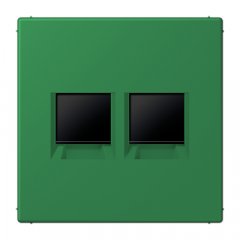 Virsma (ar fiksatoru) modulārai datu rozetei 2-vietīga, UMA-CAT6A, termoplasts lakots, Serie LS, vert foncé