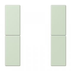 Taustiņs 2-viet, F50, Serie LS, vert anglâis pale