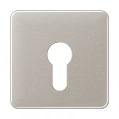 Virsma slēdzim ar atslēgu, Aluminium eloxiert, Serie CD, platīna krāsa