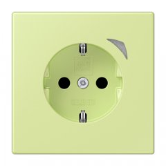Kontaktligzda JUNG HOME SCHUKO, 16 A 250 V ~, skrūvju spailes, ar indikātoru un bērnu drošību, termoplasts krāsots