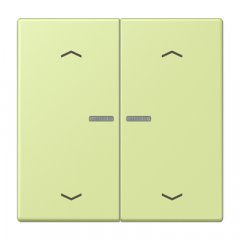 JUNG HOME taustiņš 2-viet, ar bultiņu simboliem<br />
, Serie LS, vert jaune clair