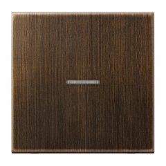 eNet taustiņš ar radio uztvērēju 1-viet, misiņš, Serie LS, misiņš antik