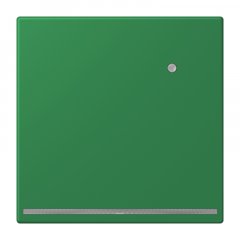 LED-dežūrgaisma ar integrētu spilgtuma sensoru, Thermoplast lackiert, Serie LS, vert foncé