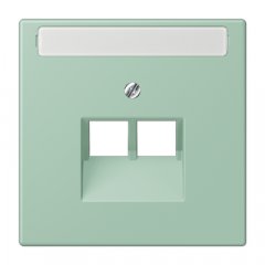 Virsma IAE/UAE-datu rozetei 2 x 8-polig, marķējams, termoplasts lakots, Serie LS, vert anglais clair