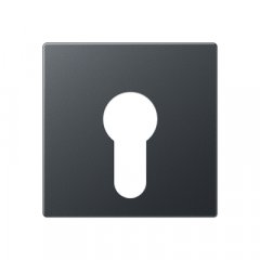 Virsma slēdzim ar atslēgu, termoplasts lakots, Serie A, anthrazit matt