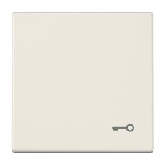 Taustiņš, ar simbolu, duroplasts, Serie LS, ziloņkaula