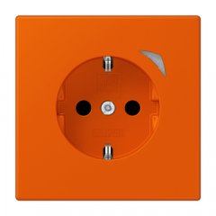 Kontaktligzda JUNG HOME SCHUKO, 16 A 250 V ~, skrūvju spailes, ar indikātoru un bērnu drošību, termoplasts krāsots