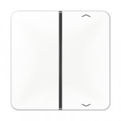 Taustiņs slēdzim 1-viet, ar virzienrādītāju, F40, Serie CD, balts