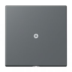 Nosedzošais vāks, Serie LS, gris foncé 31