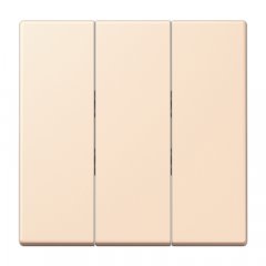 Taustiņs 3-viet, termoplasts lakots, Serie LS, terre sienne pâle