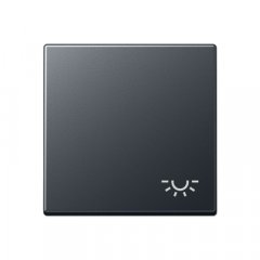 Taustiņs 1-viet, ar spuldzes simbolu, termoplasts, Serie A, antracīts matēts