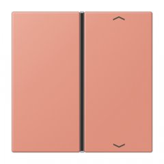 Taustiņs slēdzim 1-viet, ar virzienrādītāju, F40, Serie LS, l'ocre rouge moyen