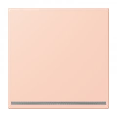 LED-dežūrgaisma, Thermoplast lackiert, Serie LS, l'ocre rouge clair