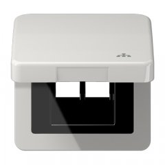 Rozetes vāks ar centrālplati, ar simbolu LAN, vertikālā un horizontālā montāža, Serie CD, gaiši pelēks