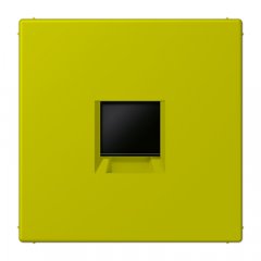 Virsma (ar fiksatoru) modulārai datu rozetei 1-vietīga, UMA-CAT6A, termoplasts lakots, Serie LS, vert olive vif