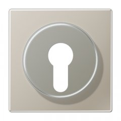 Virsma slēdzim ar atslēgu, Serie LS, krāsa nerūsējošais tērauds