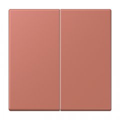 LB-Management taustiņš 2-viet, duroplasts krāsots, Serie LS, terre sienne brique