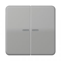 Taustiņs 2-viet ar indikācijas logu, termoplasts, Serie CD, grau