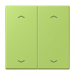 Taustiņs KNX slēdzim, ar virzienrādītāju 2-viet, Serie LS, vert clair