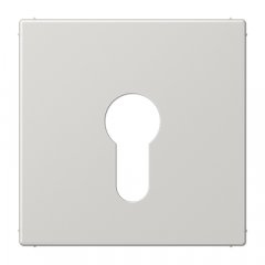 Virsma slēdzim ar atslēgu, termoplasts, Serie LS, gaiši pelēks