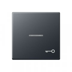 Taustiņš ar indikācijas logu, ar simbolu, termoplasts lakots, Serie A, anthrazit matt