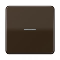 eNet taustiņš ar radio uztvērēju 1-viet, duroplasts, Serie CD, brūns