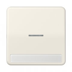 Taustiņs 1-viet, ar indikācijas logu, marķējams, duroplasts, Serie CD, ziloņkaula