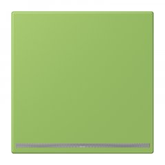 LED-dežūrgaisma, Thermoplast lackiert, Serie LS, vert 31