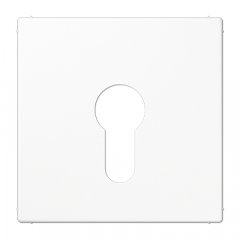 Virsma slēdzim ar atslēgu, termoplasts, Serie LS, balts