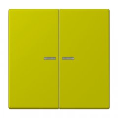 JUNG HOME taustiņš 2-viet, Serie LS, vert olive vif