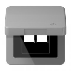 Rozetes vāks ar centrālplati, ar simbolu LAN, vertikālā un horizontālā montāža, Serie CD, pelēks