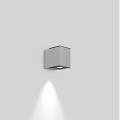 Gaismeklis ZONO PRO, 12 W, 1100 lm, 830, silver, DALI Wall luminaires, L 100 B 154 H 127, Transparent glass