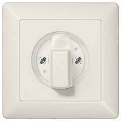 Virsma ar grozāmu slēdzi, ar rāmi, Serie AS, ziloņkaula