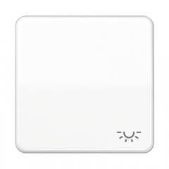 Taustiņs 1-viet, ar spuldzes simbolu, duroplasts, Serie CD, balts