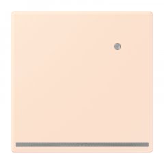 LED-dežūrgaisma ar integrētu spilgtuma sensoru, Thermoplast lackiert, Serie LS, orange pâle