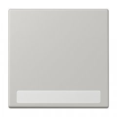 Taustiņs 1-viet, marķējams, Serie LS, gris clair 31