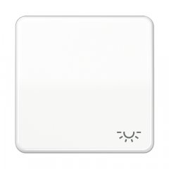 Taustiņs 1-viet, ar spuldzes simbolu, termoplasts, Serie CD, balts