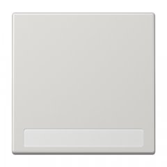 Taustiņs 1-viet, marķējams, duroplasts, Serie LS, gaiši pelēks