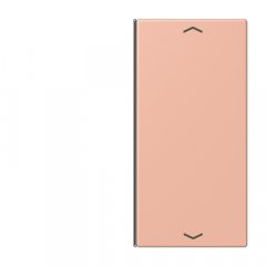 Taustiņs slēdzim 2-viet, ar virzienrādītāju, F40, Serie LS, rose clair