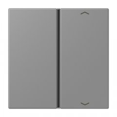 Taustiņs slēdzim 1-viet, ar virzienrādītāju, F40, Serie LS, gris 31