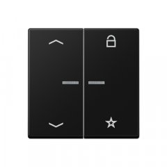 eNet taustiņš unversālais 2-viet, ar bultiņu simboliem<br />
, termoplasts krāsots, Serie A, grafītmelns matēts