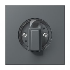 Virsma ar grozāmu slēdzi, Serie LS, gris foncé 31