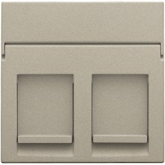 Central plate data 2x RJ, champagne coated