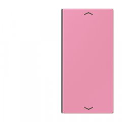 Taustiņs slēdzim 2-viet, ar virzienrādītāju, F40, Serie LS, rose vif