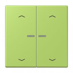 JUNG HOME taustiņš 2-viet, ar bultiņu simboliem<br />
, Serie LS, vert clair