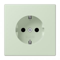 Kontaktligzda SCHUKO, 16 A 250 V ~, ar bērnu drošību, Serie LS, vert anglâis pale